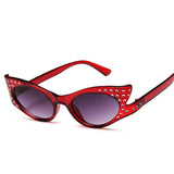 <tc>1960's</tc> Studs Cat Eye Sunglasses