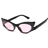 <tc>1960's</tc> Studs Cat Eye Sunglasses